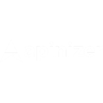 Apinizer